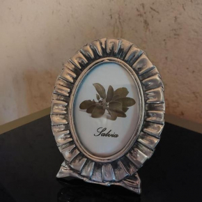 Istanti - Salvia Saluzzo